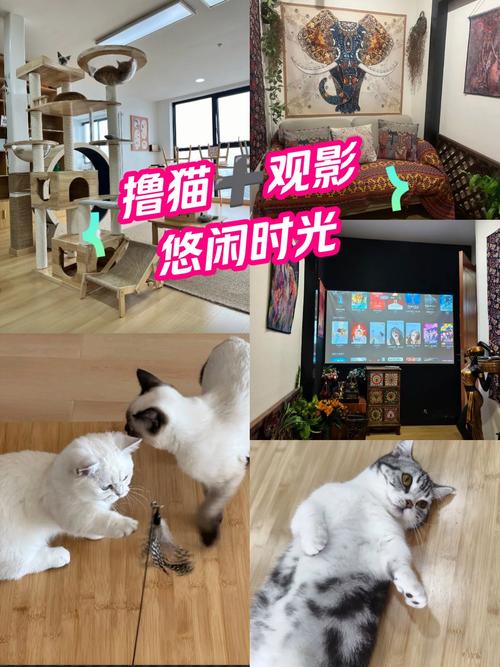 成年女子毛片的相关介绍