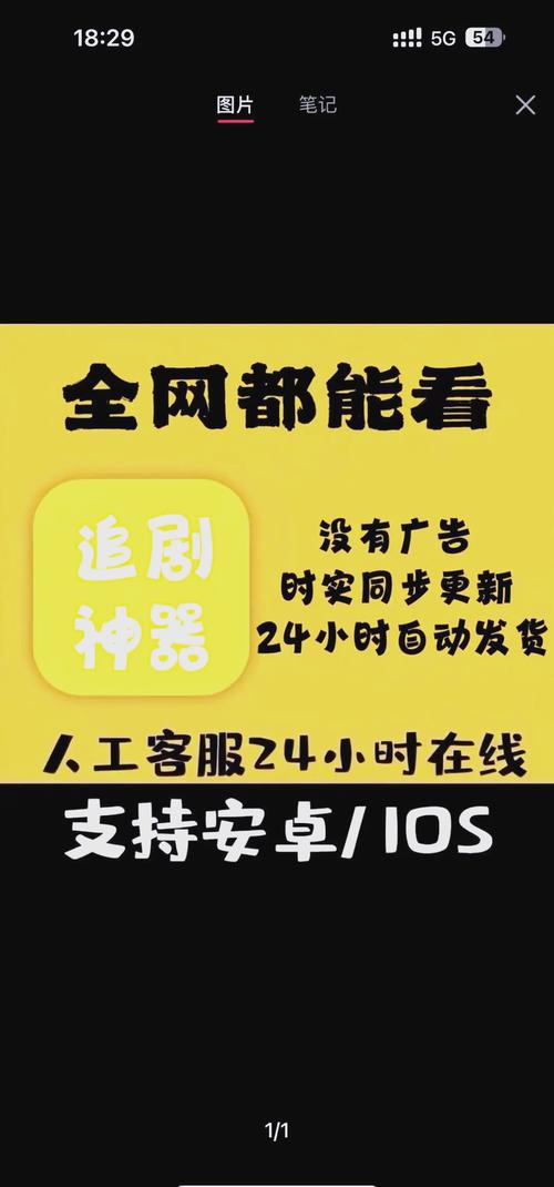 美女av一级片的相关介绍