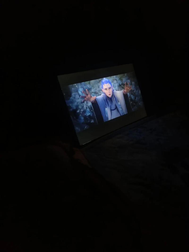 毛片在哪里看的相关介绍