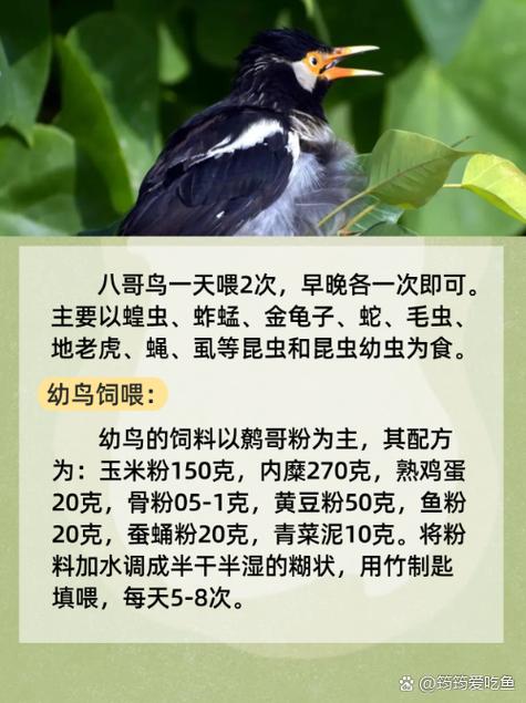 午夜亚洲激情久久的相关介绍