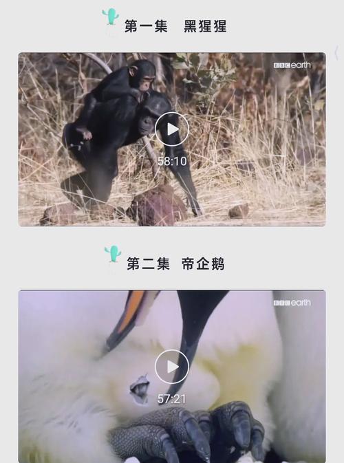 亚洲一级黄片少妇的相关介绍