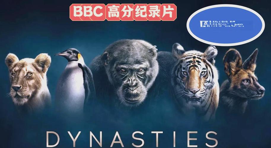 啪啪啪啪人妻的相关介绍