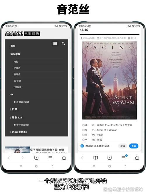 私人情侣影院的相关介绍
