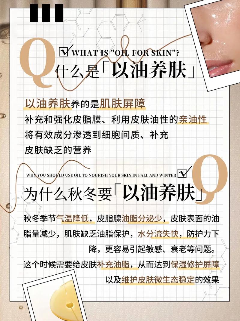 搞曰夜搞电影院的相关介绍