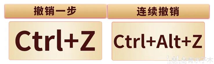 国产干逼逼的相关介绍