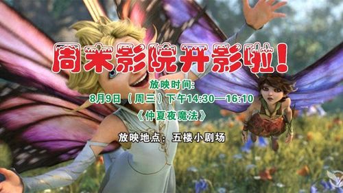 操老师小逼的相关介绍