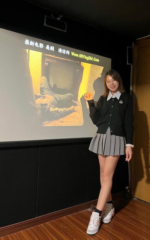 4080新视电电影院的相关介绍