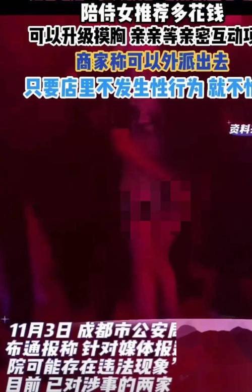 高潮毛片高清无遮挡的相关介绍