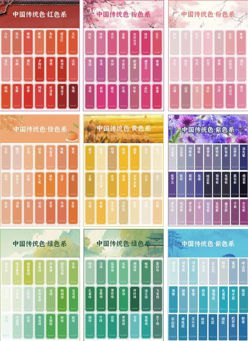 蜗牛影院的相关介绍