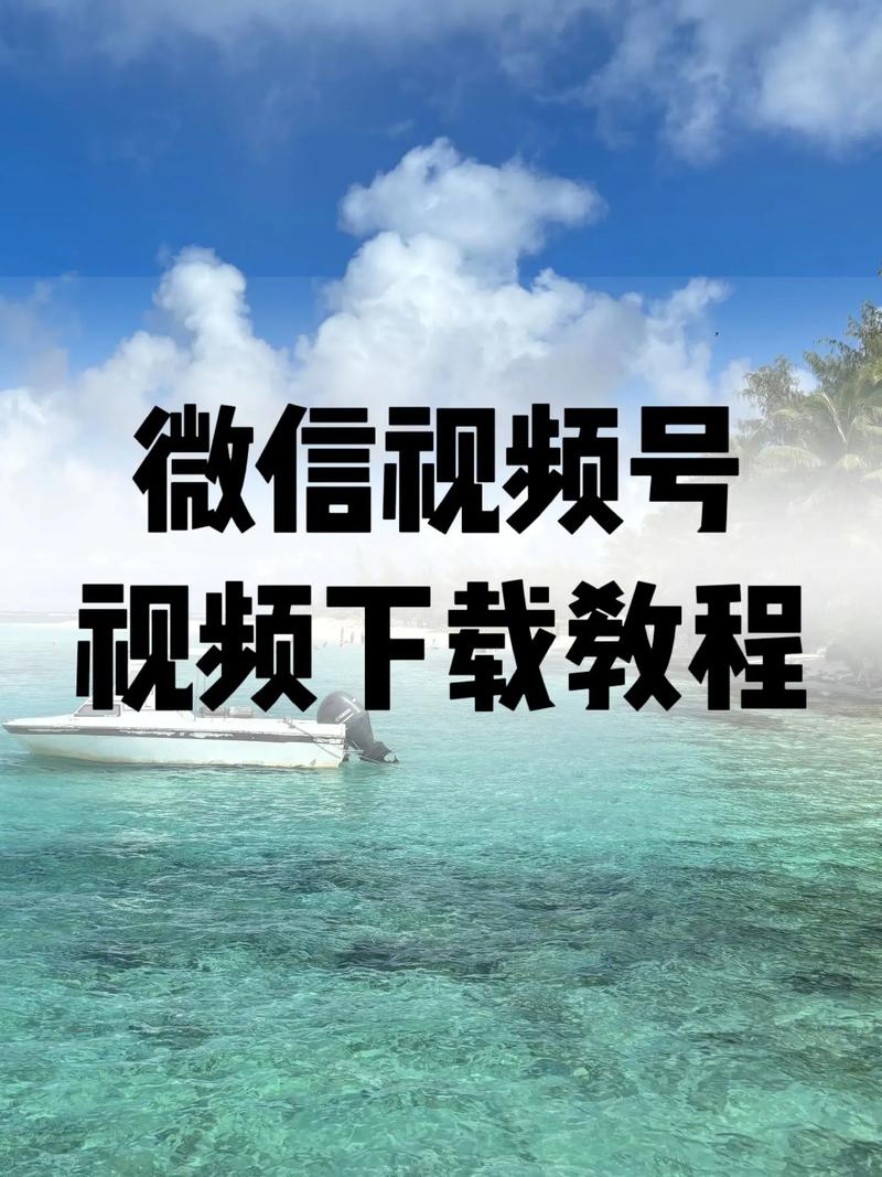 午夜极速va一区二区的相关介绍