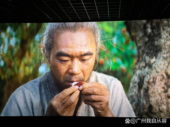 依依影院手机版的相关介绍