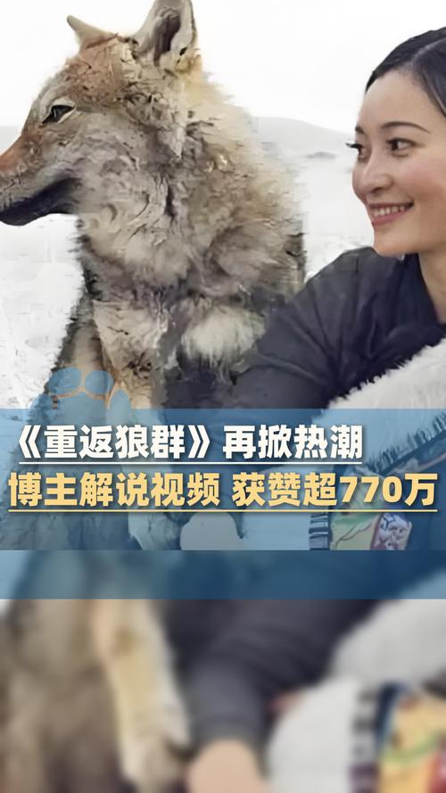 五福成人影院的相关介绍