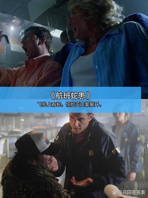 www.人妻有码的相关介绍