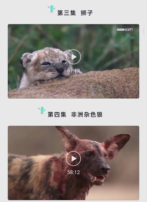 男女啪啪大尺度的动态的相关介绍