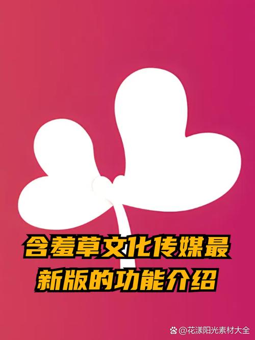 撸甲影院的相关介绍