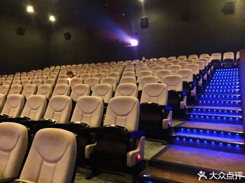 成激人情在线影院920的相关介绍