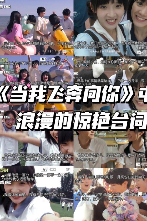 成人手机毛片网的相关介绍