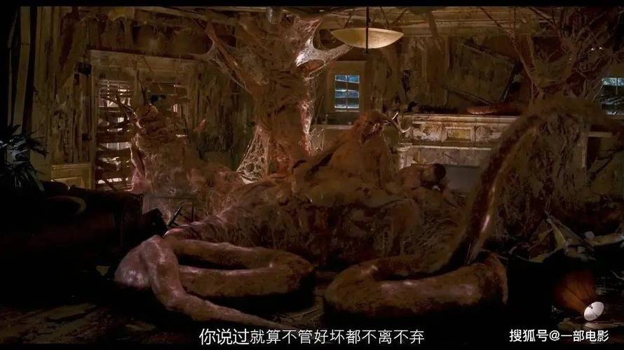 神马影院手机在线观看真心网的相关介绍