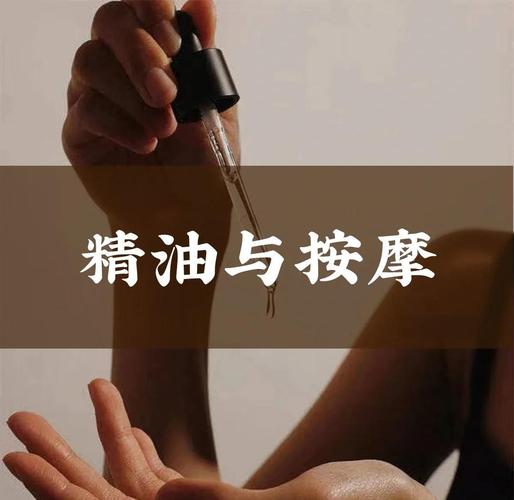 女同又爽又黄动漫的相关介绍