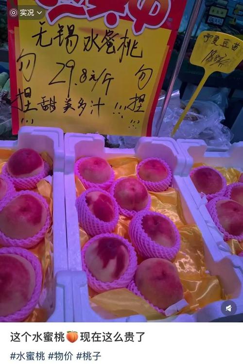 色图欧美久久的相关介绍