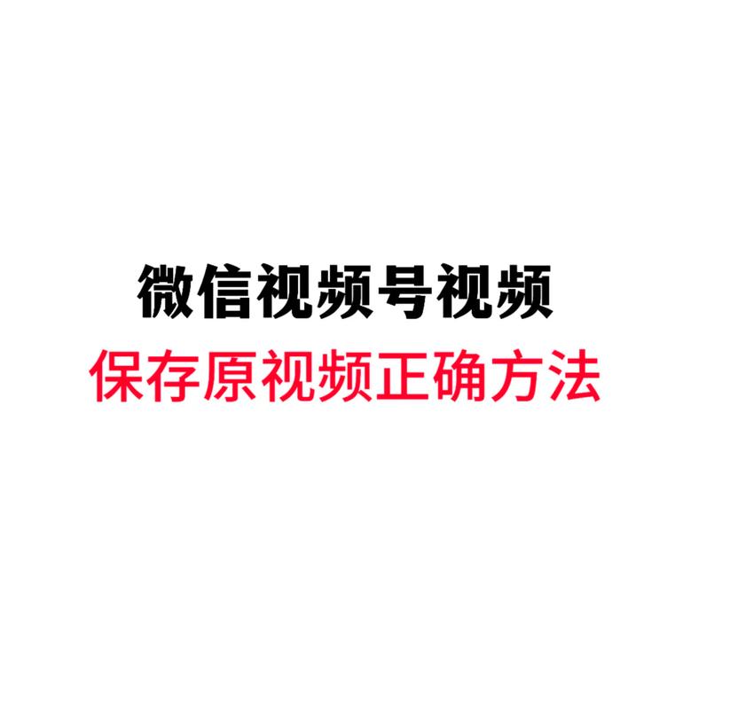 欧美夜恋影院夜恋秀场的相关介绍