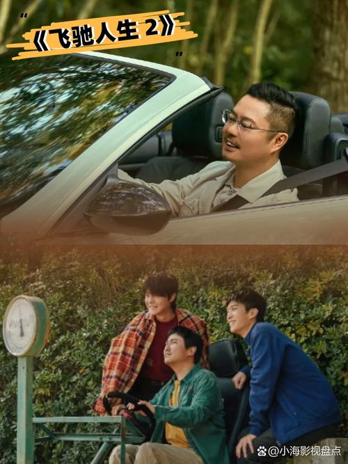 丁香成人影院的相关介绍