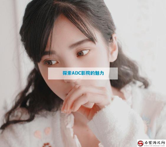欧美影院的相关介绍