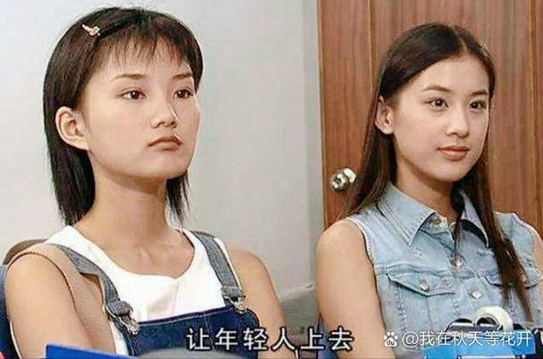 芒果电影院的相关介绍