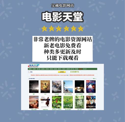 老师操小逼的相关介绍