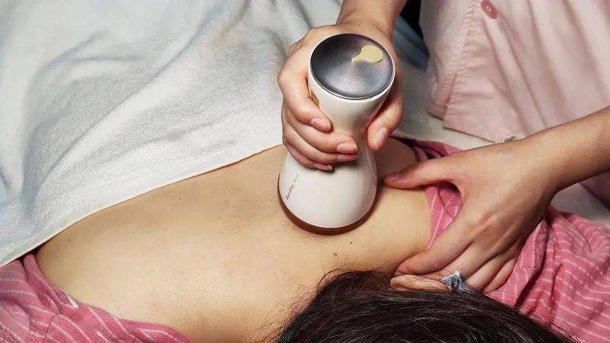 美女老师被按着操的相关介绍