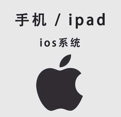 另类少妇熟女一区二区的相关介绍