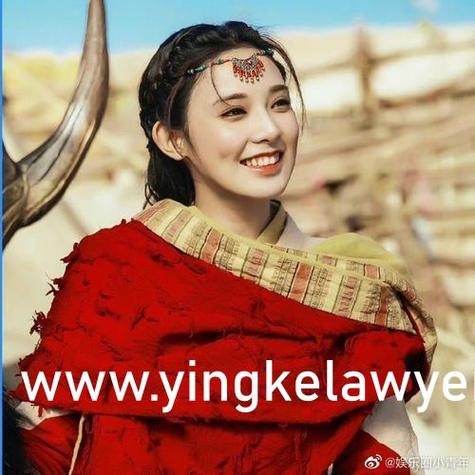 p站视频下载app的相关介绍