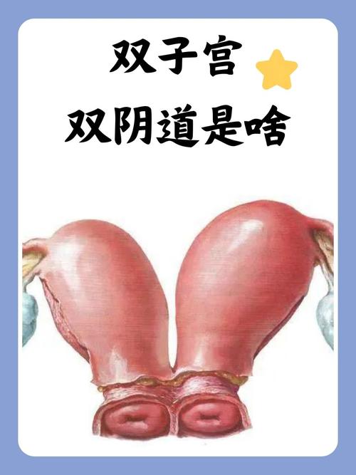 久碰精品少妇中文字幕av的相关介绍