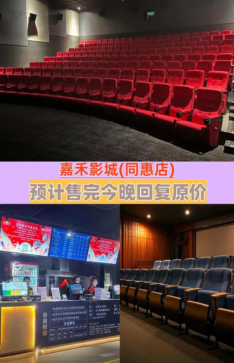 猫爪私人影院的相关介绍