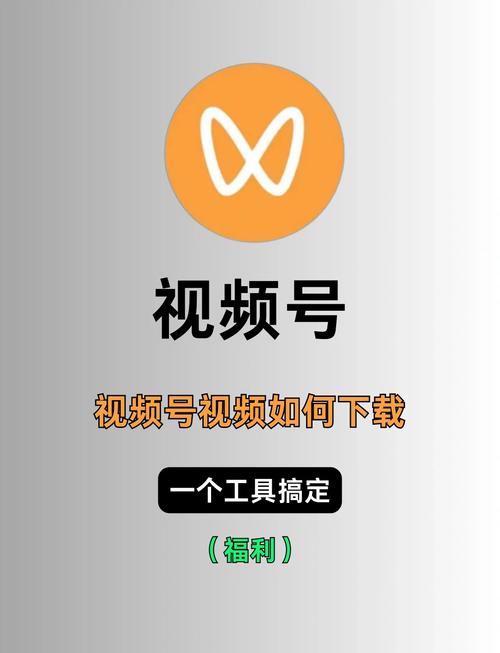 神马微影院的相关介绍