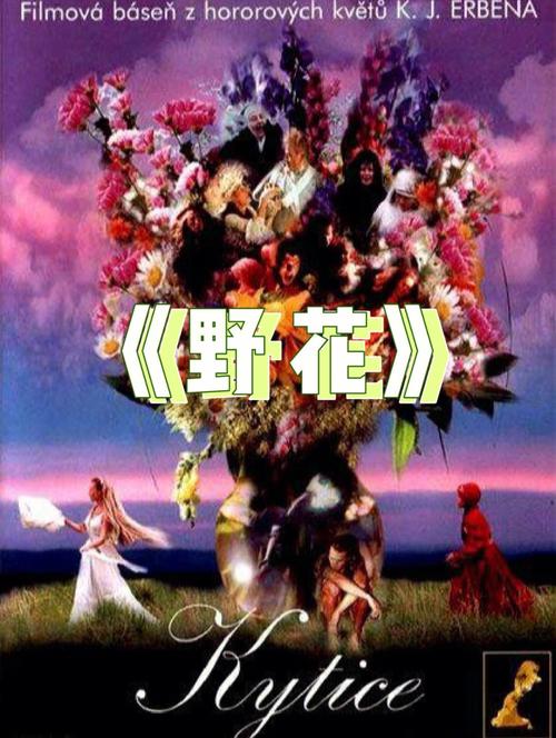 一边亲一边摸的免费版的相关介绍