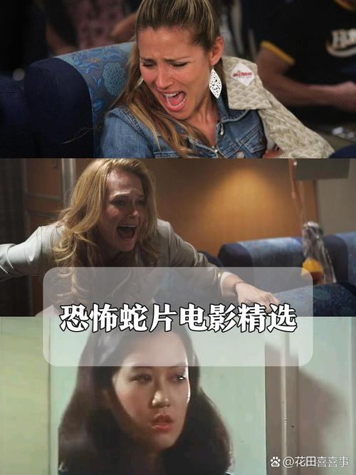 彩虹影院的相关介绍