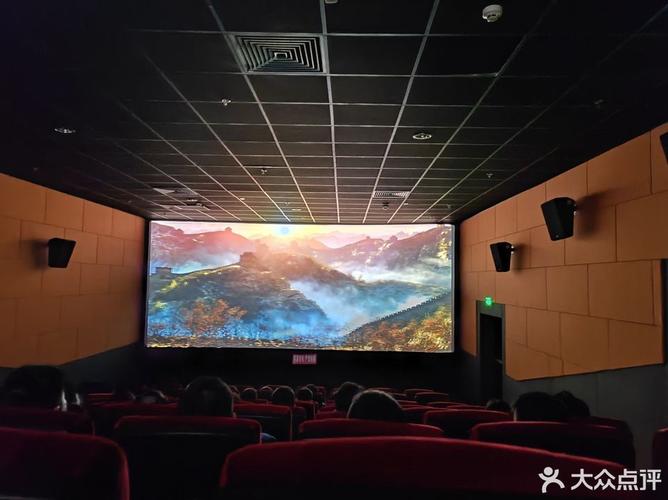 国内精品久久久久久的相关介绍