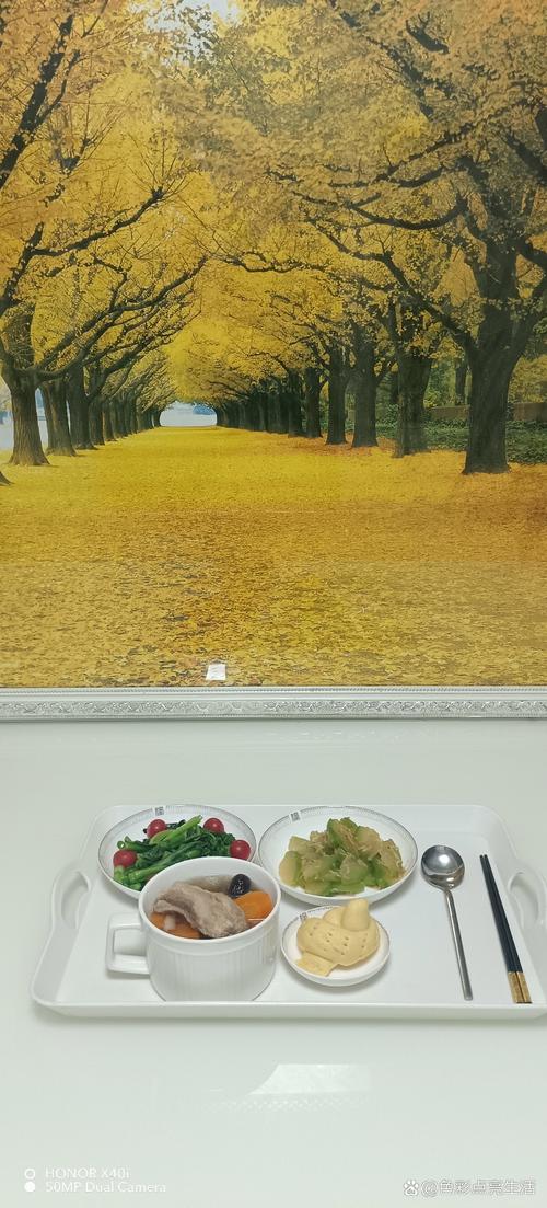 恋夜影院恋夜秀场全部视频列表的相关介绍