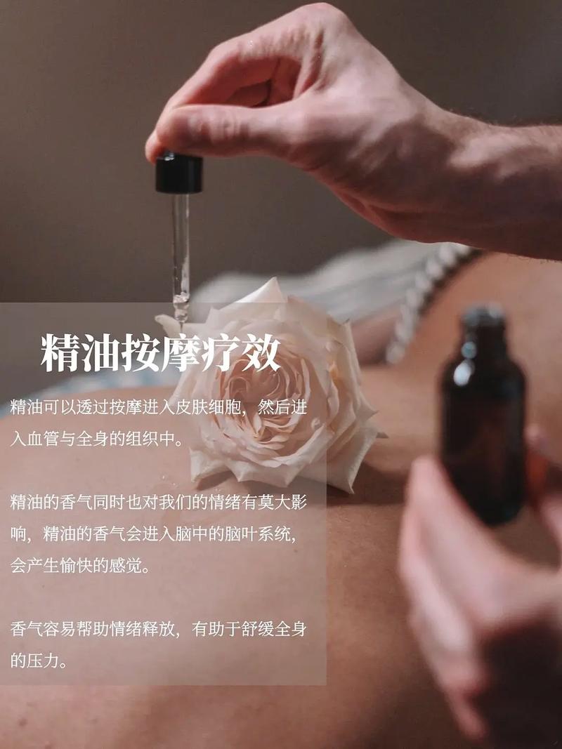 荔枝影院的相关介绍