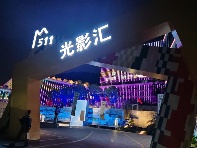 老女人的黄色录像的相关介绍