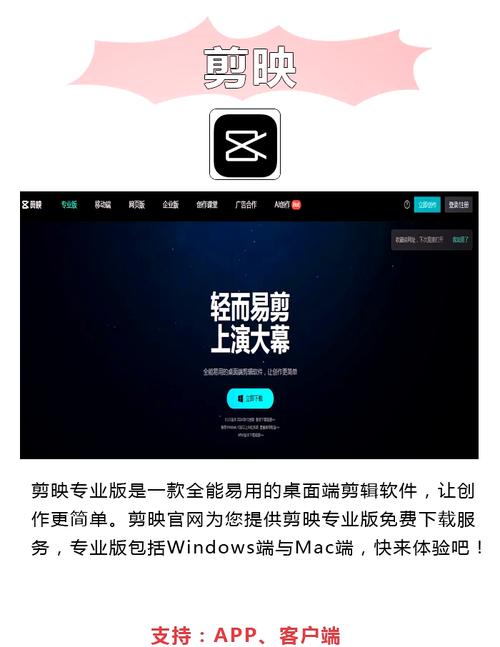 天仙影院的相关介绍