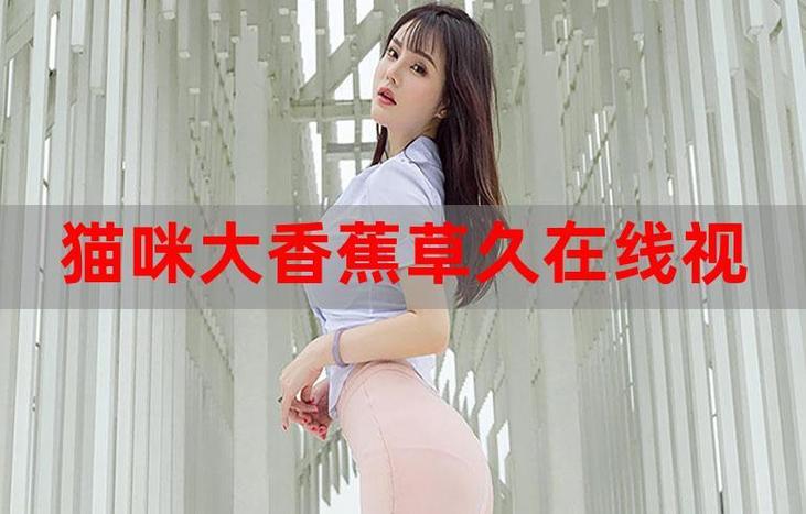 小七电影院的相关介绍