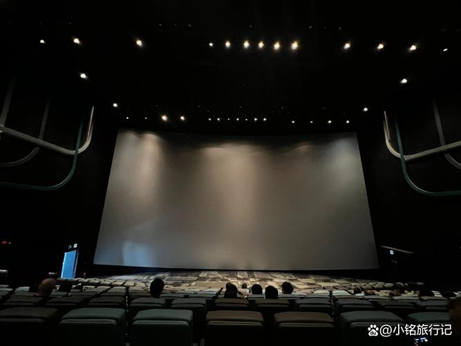 yy6029苏格影院的相关介绍