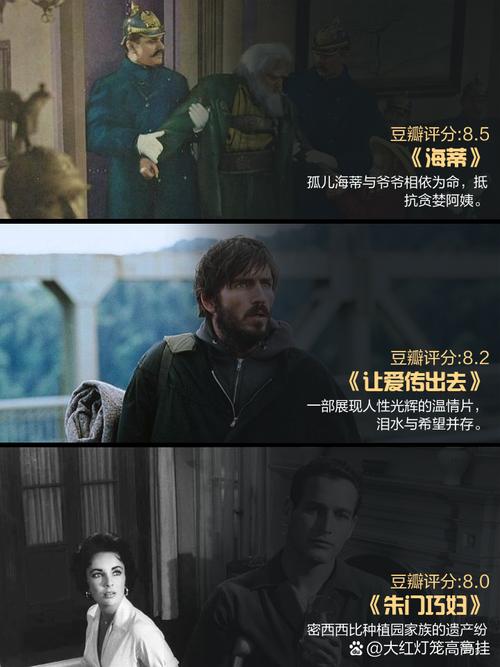 7频道影院的相关介绍