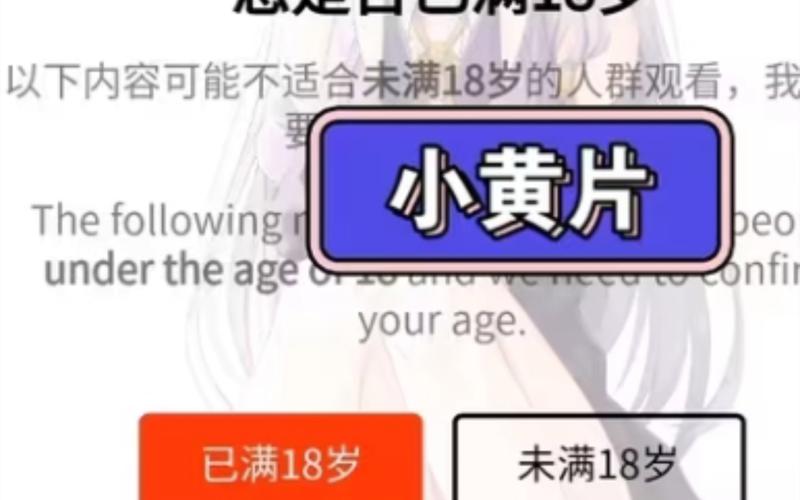 人妻久久搭讪中出电影的相关介绍