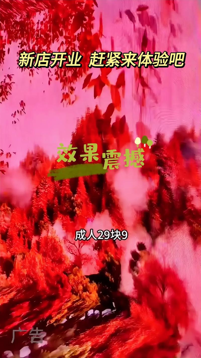 欧美午夜在线一区二区的相关介绍