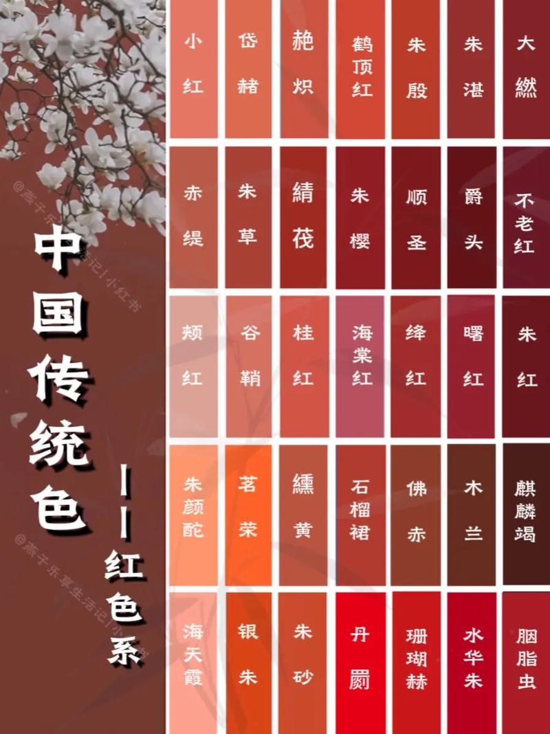 18禁免费视频app下载的相关介绍