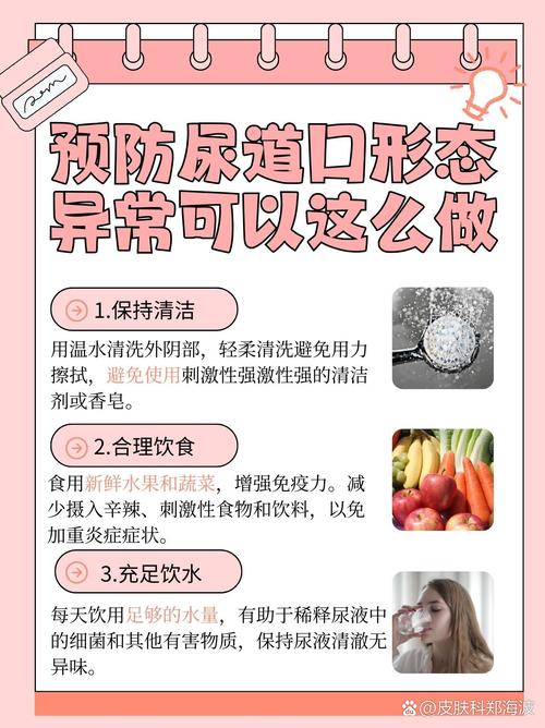 高清视频下载app的相关介绍