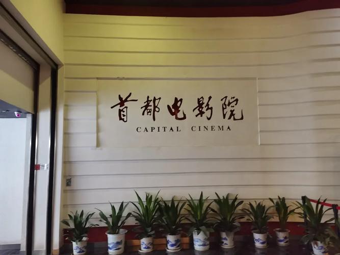 特殊的日本精油按摩的相关介绍